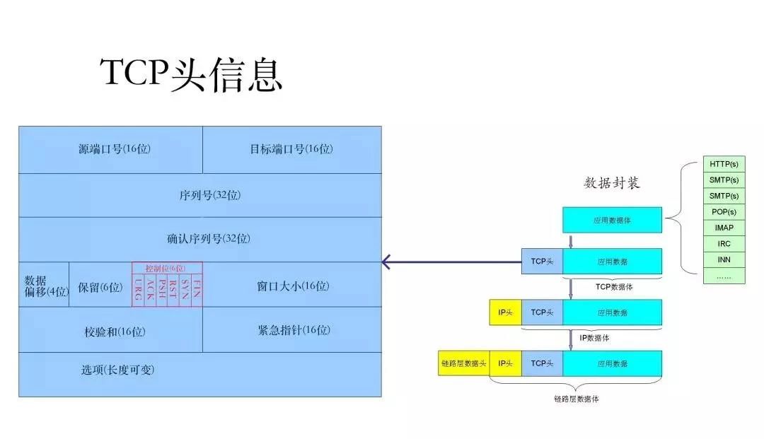 TCP头信息