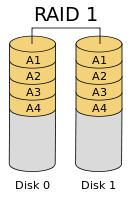 RAID1